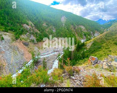 Steiler Hügel mit Wald im Maashey Flusstal, der tagsüber von den Bergen mit Gletschern in Altai in Sibirien fließt. Stockfoto