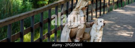 Fröhliche blonde Frau, die Kaffee zum Mitnehmen hält und labrador auf der Brücke im Park streichelt, Banner, Börsenbild Stockfoto