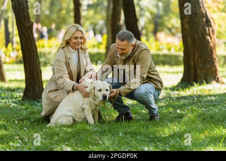 Lächelnder erwachsener Mann, der labrador in der Nähe einer glücklichen Frau auf dem Rasen im Park streichelt, Stockbild Stockfoto