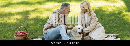 Glückliches Paar mittleren Alters, das sich ansieht, während es labrador streichelte, während es im Park picknickte, ein Banner, ein Stockbild Stockfoto