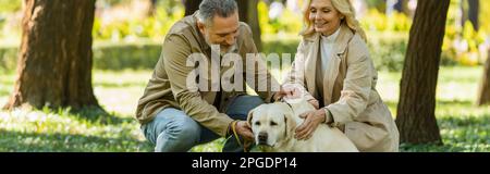 Positives Paar mittleren Alters, das labrador auf dem Rasen im Frühlingspark streichelt, Banner, Stockbild Stockfoto