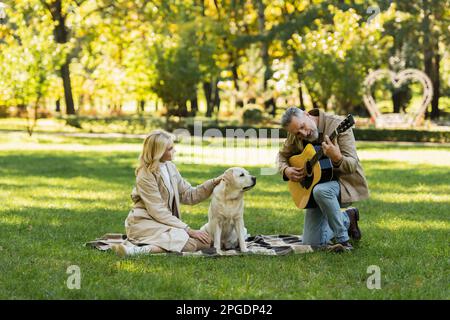 Ein bärtiger Mann mittleren Alters, der in der Nähe seiner Frau Akustikgitarre spielt und beim Picknick im Park labrador-Hund streichelt, Bild der Aktie Stockfoto