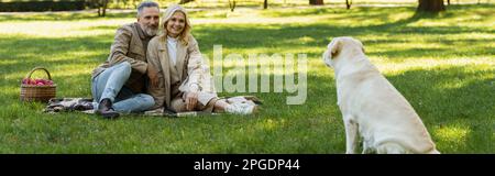 Glückliches Paar mittleren Alters, das sich den labrador-Hund ansah, während es auf der Decke saß, während es ein Picknick im Park machte, Banner, Stockbild Stockfoto