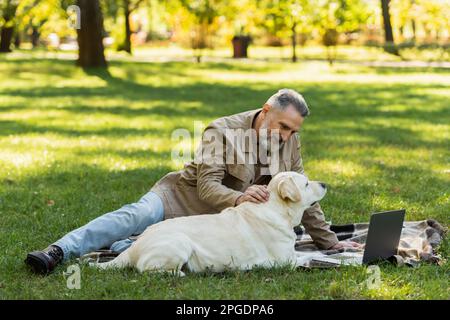 Glücklicher Mann mittleren Alters mit grauem Bart, der labrador streichelte, während er sich einen Film auf dem Laptop anschaute, während er ein Picknick im Park machte, Stockbild Stockfoto