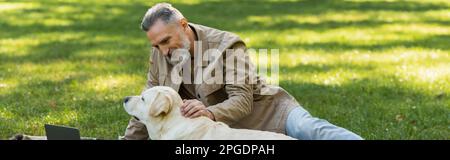 Glücklicher Mann mittleren Alters mit grauem Bart, der labrador-Hund streichelt im Park, Banner, Stock Image Stockfoto