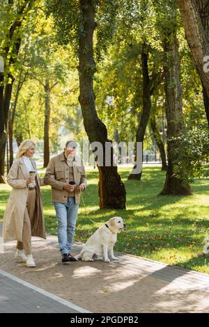 Glückliches Paar mittleren Alters mit Kaffee zum Mitnehmen und mit labrador Hund im Frühling im Park spazieren, Stockbild Stockfoto