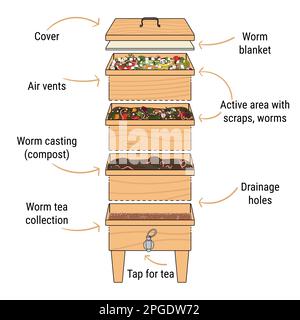 Infografik zur Vermicompost. Komponenten von Vermicomposter. Vermicomposter-Schaltplan-Design. Wurmkompostierung. Recycling organischer Abfälle, Düngemittel oder Stock Vektor