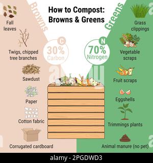 Infografik zum Kompostiereimer mit Resten im Garten. Was kompostiert werden soll. Verhältnis Grün und Muskeln für die Kompostierung. Recycling organischer Abfälle. Nachhaltiges Leben c Stock Vektor