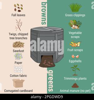 Infografik zum Kompostiereimer mit Resten im Garten. Was kompostiert werden soll. Verhältnis Grün und Muskeln für die Kompostierung. Recycling organischer Abfälle. Nachhaltiges Leben c Stock Vektor