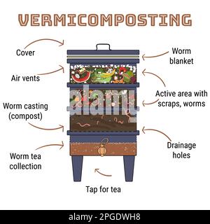 Infografik zur Vermicompost. Komponenten von Vermicomposter. Vermicomposter-Schaltplan-Design. Wurmkompostierung. Recycling organischer Abfälle, Düngemittel oder Stock Vektor