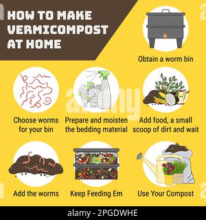 Infografik zur Vermicompost. Wie man zu Hause Vermicompost macht. Wurmkompostierung. Recycling organischer Abfälle, Vermikomposter. Nachhaltiges Leben, null W. Stock Vektor