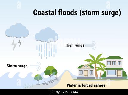 Küstenfluten, Sturmfluten. Infografik zu Überschwemmungen. Überschwemmung Naturkatastrophe mit Regen, Wettergefahr. Häuser, Bäume, die mit Wasser bedeckt sind. Globaler Krieg Stock Vektor