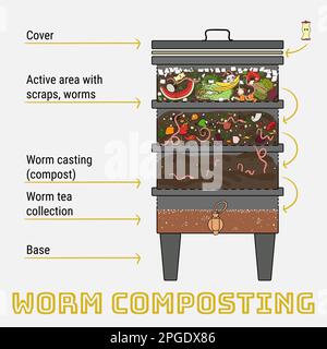 Infografik zur Vermicompost. Komponenten von Vermicomposter. Vermicomposter-Schaltplan-Design. Wurmkompostierung. Recycling organischer Abfälle, Düngemittel oder Stock Vektor