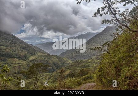 Grüne Landschaft in den Tabasara Mountains, Panama Stockfoto