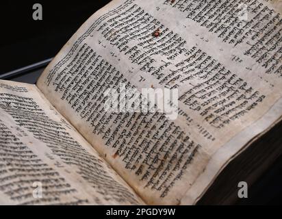 Tel Aviv, Israel. 22. März 2023. Der Codex Sassoon, die früheste und vollständigste Ausgabe der hebräischen Bibel, wird am Mittwoch, den 22. März 2023, im ANU Museum des jüdischen Volkes in Tel Aviv ausgestellt. Die Bibel, die vermutlich älter als 1.000 Jahre ist, soll am 16. Mai bei der Sotheby's Auction in New York verkauft werden und wird schätzungsweise für 30-50 Millionen Dollar verkauft werden. Der Codex Sassoon wurde seit 1982 nicht mehr ausgestellt und wird vom 23. Bis 29. März in Tel Aviv zu sehen sein. Foto von Debbie Hill/ Kredit: UPI/Alamy Live News Stockfoto