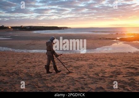 Eine junge Frau, Metalldetektorin, Metalldetektorin an einem Strand in Cornwall bei Sonnenuntergang. Stockfoto