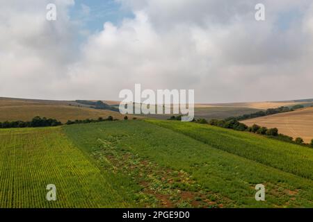 Blick auf das Ackerland in den South Downs Stockfoto