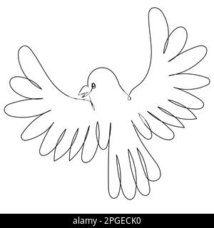 Fliegende Taube, gezeichnet mit einer durchgehenden Linie auf einem weißen Isolat. Stock Vektor