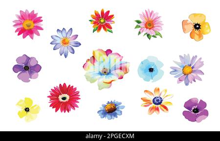 Farbenfrohe Blumenkollektion auf weißem Hintergrund, einfache Blumenvektorelemente für Collage, Geburtstagskarten, Einladungen Stock Vektor