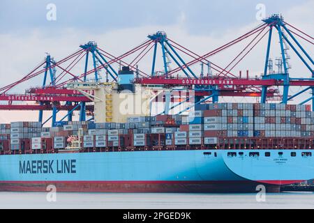 Containerschiff im Hafen angedockt Stockfoto