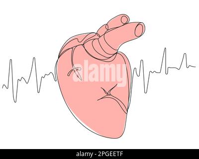 Menschliches Herz in einer Linie mit beigefarbener Silhouette Stock Vektor