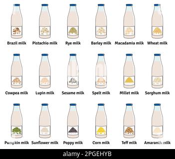 Fläschenset mit Milch auf Pflanzenbasis. Vegane Milch in Glasflaschen. Pistazien, Kürbis und Sonnenblumenkerne, Amaranth, Mais, Macadamia, Sesammilch. Mil Stock Vektor