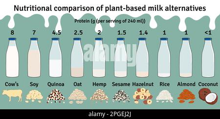 Fläschenset mit Milch auf Pflanzenbasis. Vegane Milchprotein-Infografik. Mandeln, Soja, Reis, Kokosnuss, Haselnuss, Hafer, Sesam, Hanf, Quinoamilch. Milch-Alter Stock Vektor