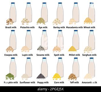 Fläschenset mit Milch auf Pflanzenbasis. Vegane Milch in Glasflaschen. Pistazien, Kürbis und Sonnenblumenkerne, Amaranth, Mais, Macadamia, Sesammilch. Mil Stock Vektor