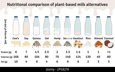 Fläschenset mit Milch auf Pflanzenbasis. Vegane Milchprotein-Infografik. Mandeln, Soja, Reis, Kokosnuss, Haselnuss, Hafer, Sesam, Hanf, Quinoamilch. Milch-Alter Stock Vektor