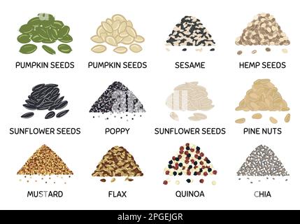 Satz handgezogener Vektoren, eine Handvoll Seeds. Kürbis- und Sonnenblumenkerne, Chia, Mohn, Flachs, Quinoa, Senf, Hanf, Pinienkerne. Bio gesunde Lebensmittel. Veg Stock Vektor