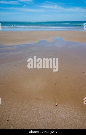 Blick auf den Strand und die Küste rund um Sagres und Praia da Mareta, die Algarve, Portugal Stockfoto