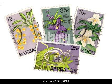 Klassische Briefmarken von Barbados isoliert auf weißem Hintergrund. Stockfoto