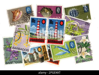 Klassische Briefmarken von Barbados isoliert auf weißem Hintergrund. Stockfoto