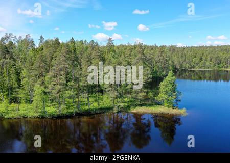 Siehe, Teich in Schweden, Storetjämet in der Nähe von Svarrjärn in Mittelschweden, Värmland Stockfoto