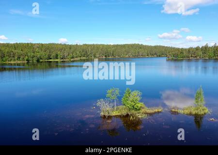 Siehe, Teich in Schweden, Storetjämet in der Nähe von Svarrjärn in Mittelschweden, Värmland Stockfoto