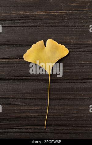 Trockenes gelbes Blatt auf baulichem Holzhintergrund, Draufsicht. Herbstblatt auf dunklem Hintergrund. Trockenes Blatt Ginkgo biloba. Herbstzusammensetzung. Stockfoto