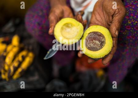 Ein kolumbianischer Anbieter zeigt eine frische, halbierte Avocado zum Verkauf auf dem Straßenmarkt in Cali, Kolumbien. Stockfoto