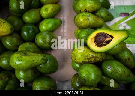 Frische und reife Avocados werden auf dem Marktstand auf dem Straßenmarkt in Barranquilla, Kolumbien, zum Verkauf angeboten. Stockfoto