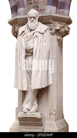 Statue von Charles Darwin, Oxford Naturkundemuseum Stockfoto