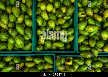 Kunststoffkisten mit frischen Avocados, die auf lokalen Farmen angebaut werden, werden auf dem Straßenmarkt in Cali, Kolumbien, zum Verkauf angeboten. Stockfoto