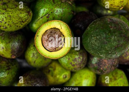 Frische und reife Avocados werden auf dem Marktstand auf dem Straßenmarkt in Cali, Kolumbien, zum Verkauf angeboten. Stockfoto