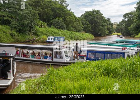 La Pavona, Costa Rica - Touristen fahren mit Booten auf dem Fluss Suerte für die einstündige Fahrt zum Tortuguero Nationalpark. Der Park kann nur mit bo erreicht werden Stockfoto