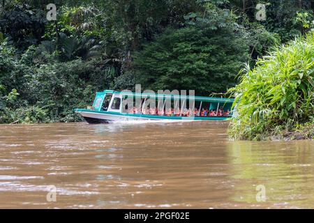 La Pavona, Costa Rica - Touristen fahren mit Booten auf dem Fluss Suerte für die einstündige Fahrt zum Tortuguero Nationalpark. Der Park kann nur mit bo erreicht werden Stockfoto