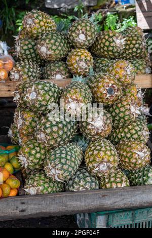 La Pavona, Costa Rica: An einem Obststand werden Ananas aus der Region angeboten. Stockfoto