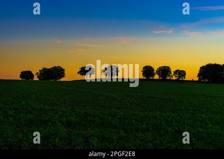 Dämmerung im Rheintal mit Bäumen, Wiesen und Feldern. Sommerliche Abendstimmung mit farbigem Himmel. Stockfoto