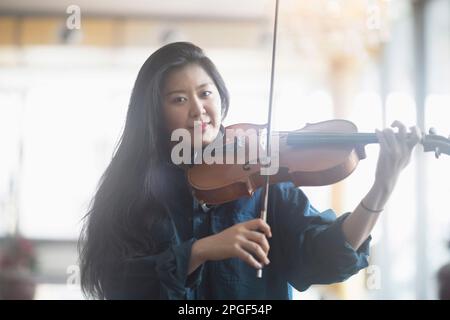 Junge Frau, die Geige spielt, Freiburg im Breisgau, Baden-Württemberg, Deutschland Stockfoto