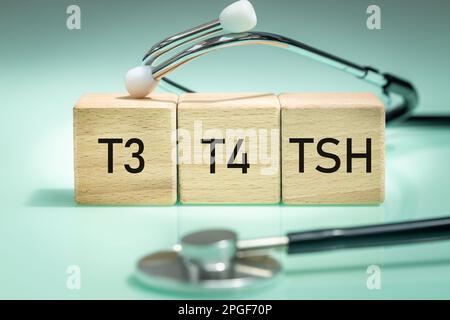 TSH, Diagnose von Schilddrüsenerkrankungen, medizinische Untersuchung von T3 und T4, Produktion und Sekretion von Hormonen, Hypothyreose oder Hyperthyreose, Holz Stockfoto