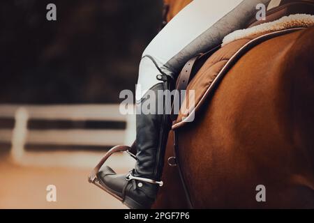 Rückansicht eines Reiters, der auf einem Bay Horse im Sattel sitzt. Pferdesport und Munition. Steigbügel. Reiten. Stockfoto