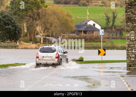 Timoleague, West Cork, Irland. 22. März 2023. Timoleague überschwemmte heute Abend unter der berühmten Franziskaner Abtei aufgrund der astronomischen Flut im Frühling. Morgen früh wird bei Flut mit weiteren Überschwemmungen gerechnet. Kredit: AG News/Alamy Live News Stockfoto