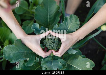 Ich habe ein Herz aus Liebe für Gemüse auf Grünkohl gemacht Stockfoto